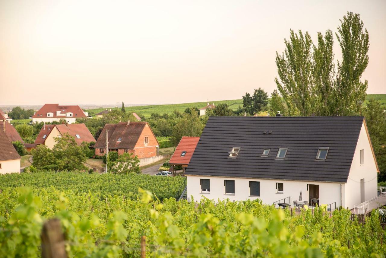 Ferienwohnung Aux Pieds Des Vignes Bergheim Exterior foto