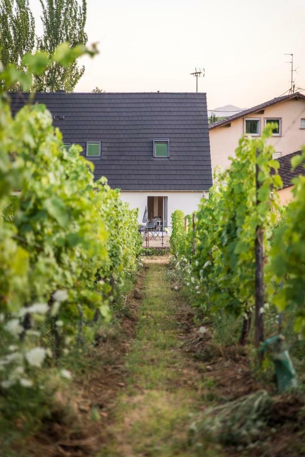 Ferienwohnung Aux Pieds Des Vignes Bergheim Exterior foto