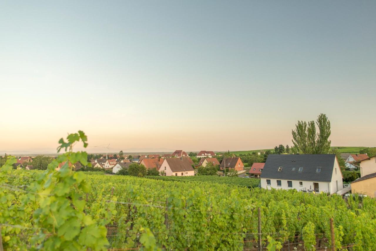 Ferienwohnung Aux Pieds Des Vignes Bergheim Exterior foto